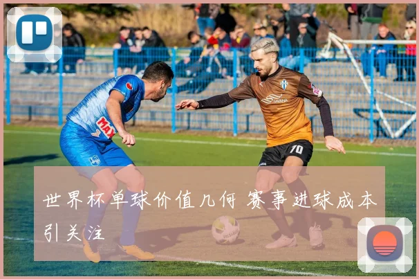世界杯单球价值几何 赛事进球成本引关注