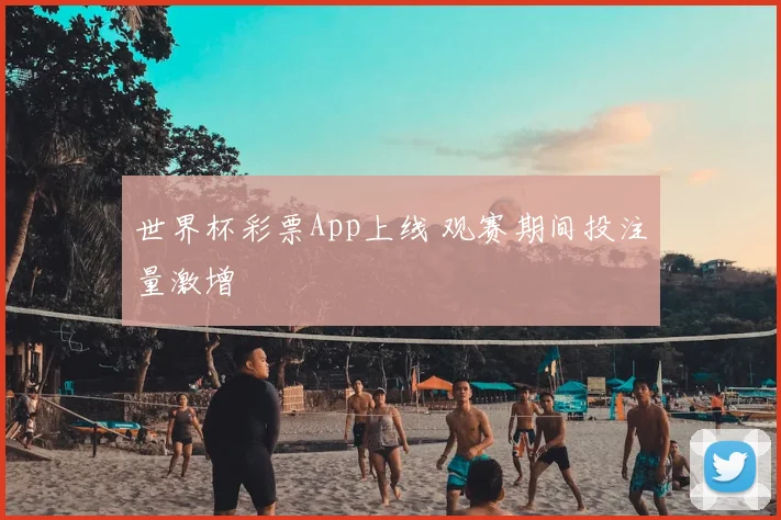 世界杯彩票App上线 观赛期间投注量激增